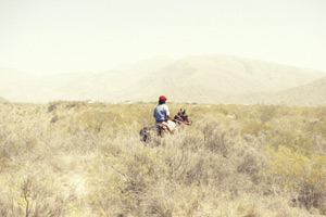 IMG_7548_web_film_cover