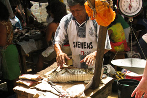 iquitos