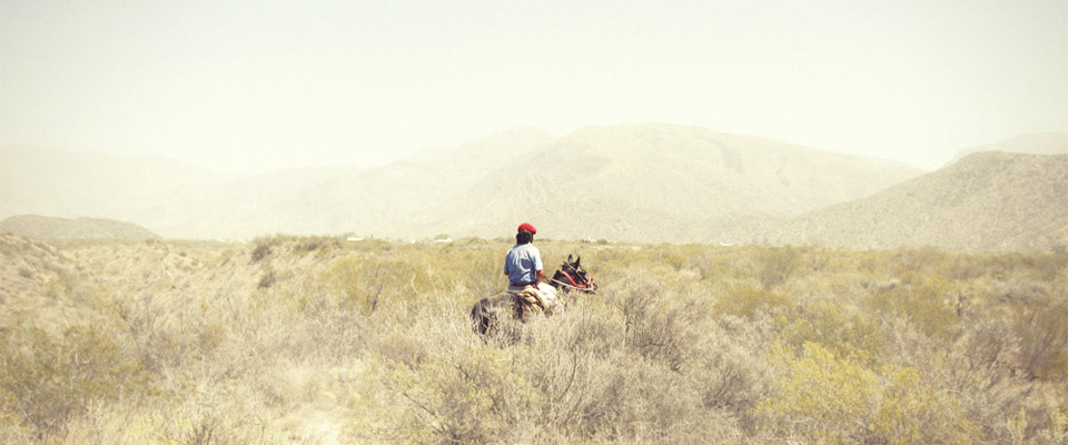 gaucho_feature